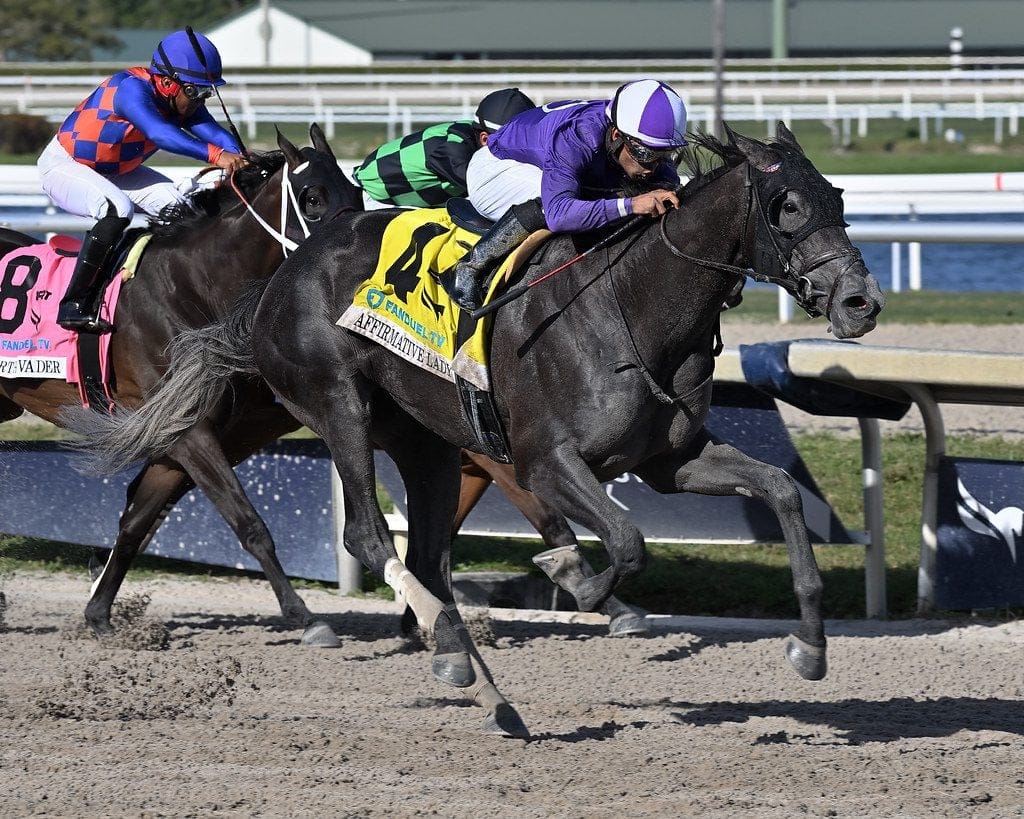 Affirmative Lady set for season bow in Caesar’s Wish
