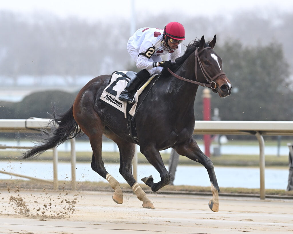 Fingal&#8217;s Cave returns in a big way, romps in Bay Ridge