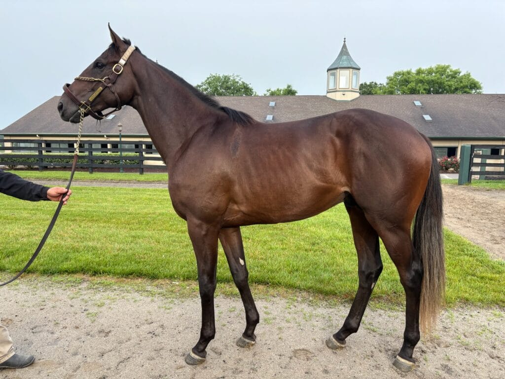 A Name with Heart, Heritage, and Hustle