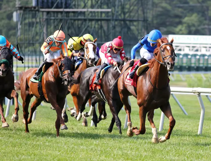 Tom’s Magic Stamps Canadian Classic Credentials In Monmouth&#8217;s Tale Of The Cat