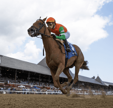 Senza Parole makes long-awaited second start