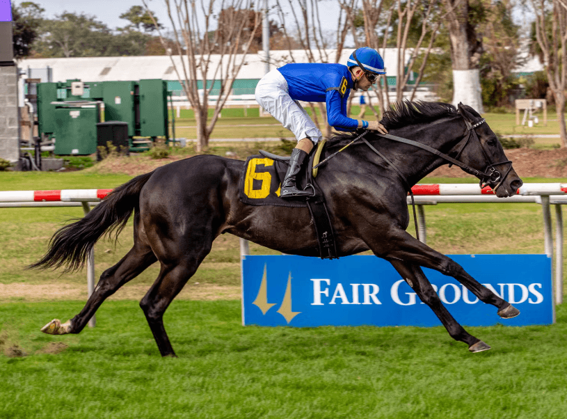 ‘We’re Very Live’: Stidham Duo Montador, Tom’s Magic Target Muniz Memorial Upset
